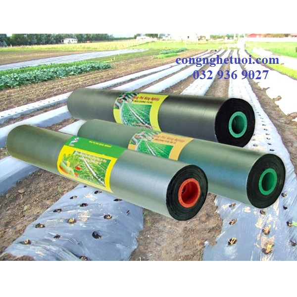 MÀNG PHỦ NÔNG NGHIỆP KHỔ 1.4MX200M, 25MIC