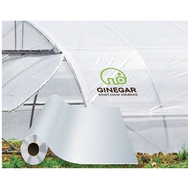 MÀNG KÍNH KHỔ 2,2MX100M GINEGAR ISRAEL 