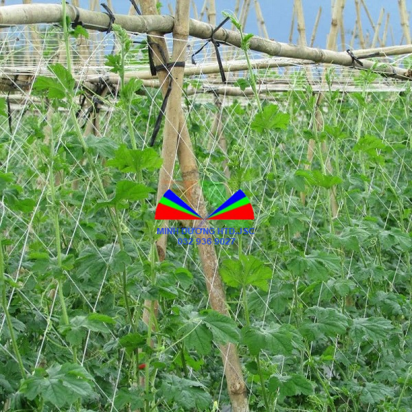 LƯỚI LÀM GIÀN LEO (LƯỚI LÀM GIÀN)