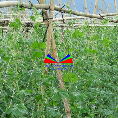 LƯỚI LÀM GIÀN LEO (LƯỚI LÀM GIÀN)